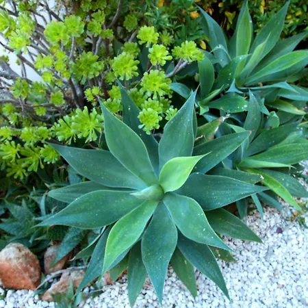 Amathousia With Private Pool And Sea View Villa Pissouri