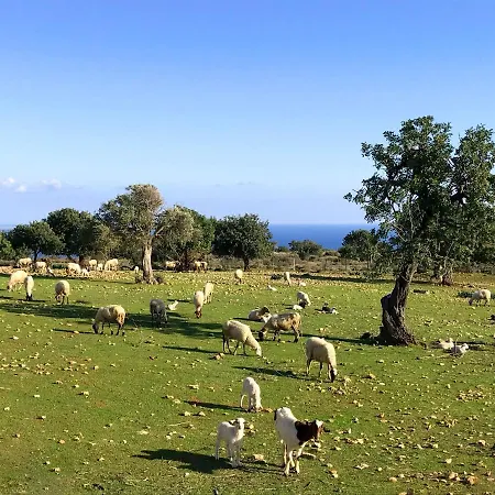 Amathousia With Private Pool And Sea View Pissouri