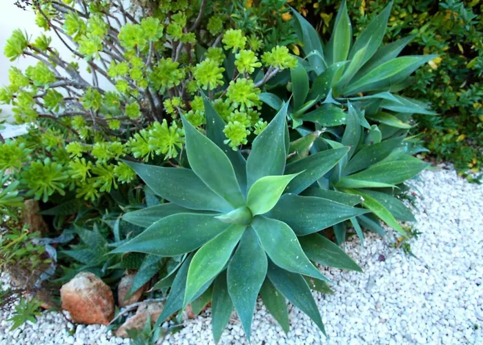 Amathousia With Private Pool And Sea View فيلة بيسوري