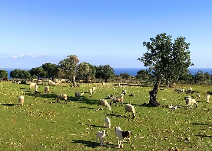 Amathousia With Private Pool And Sea View Pissouri