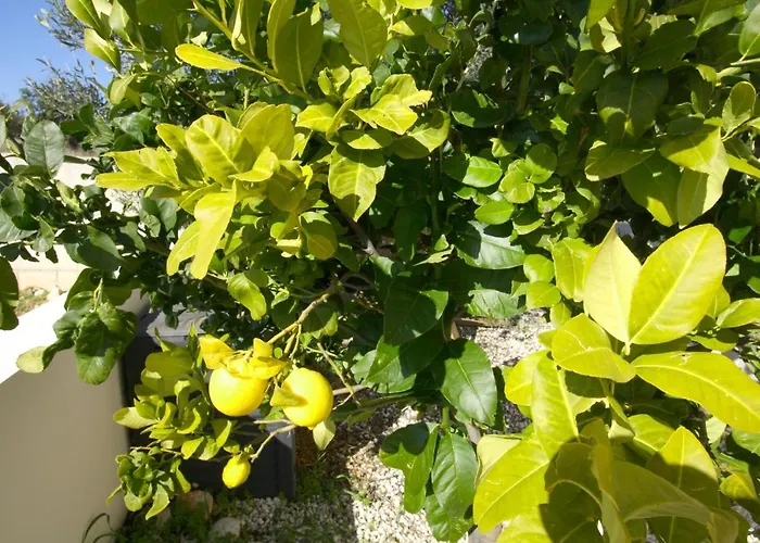 Amathousia With Private Pool And Sea View فيلة